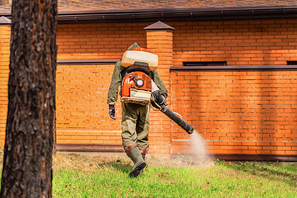 Trusted Termite Control service in Belleair Beach, FL - Nex Pest Control
